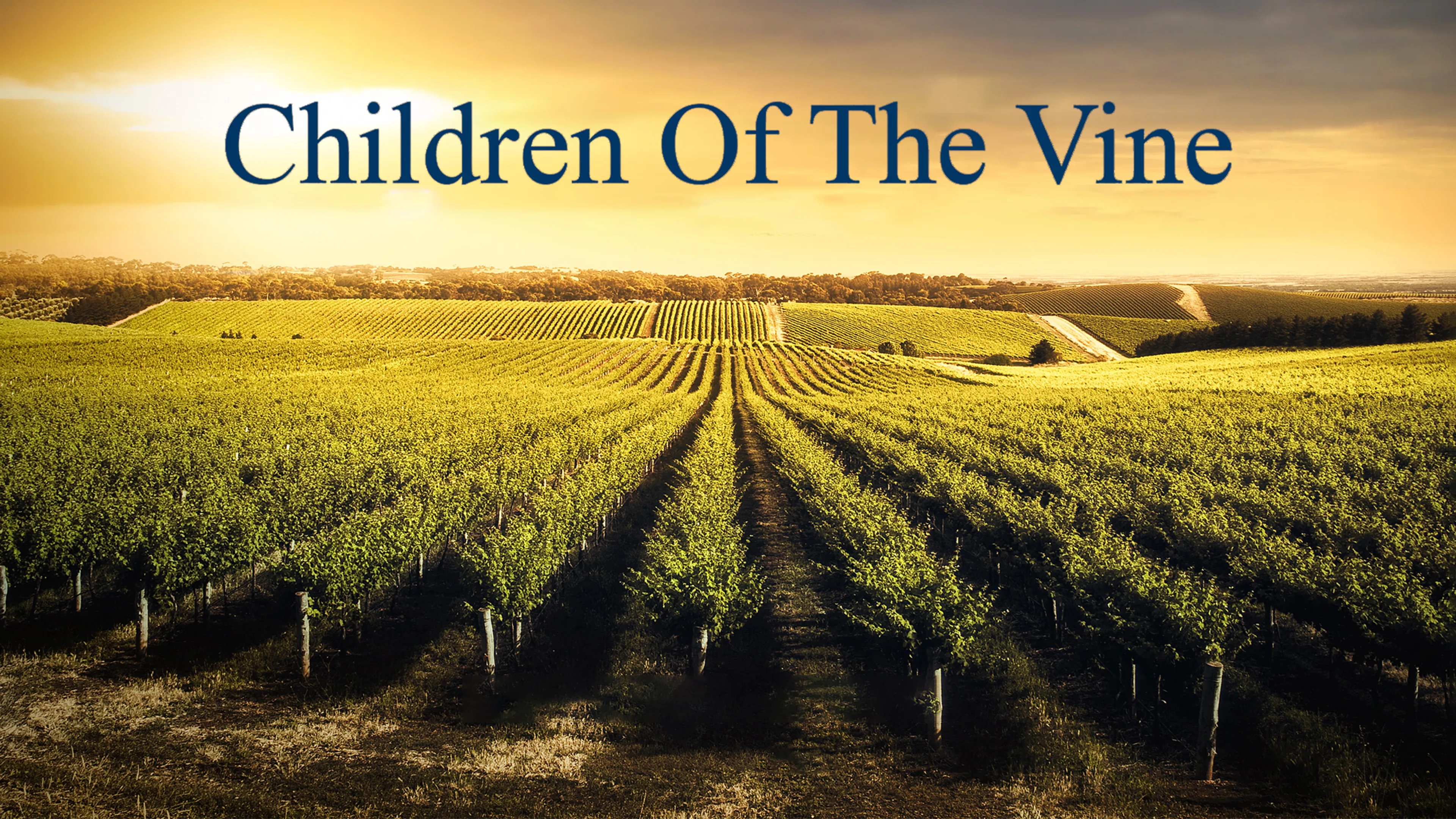 Children Of The Vine poster